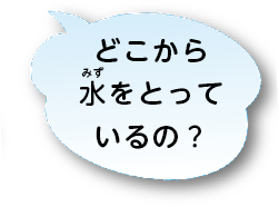 どこから水をとっているの？