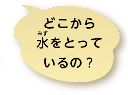 どこから水をとっているの？