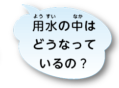 用水の中はどうなっているの？