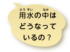 用水の中はどうなっているの？